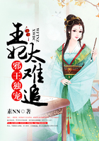 邪王独宠，王妃太难追